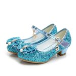 Chaussures Princesse Bleu