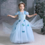 Robe de princesse bleue Papillons