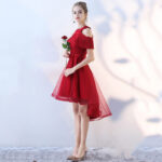 Robe Princesse Adulte Courte