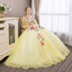 Robe de Princesse Femme Manches