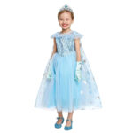 Robe de princesse des glaces