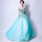 Robe de Princesse Taille Adulte
