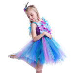 Petite Robe de Princesse