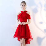 Robe princesse adulte courte