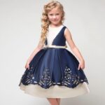 Robe princesse bleu et blanc