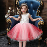 Robe de Princesse Rose pour Petite Fille
