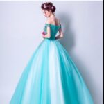 Robe de Princesse Taille Adulte