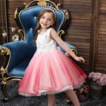 Robe de Princesse Rose pour Petite Fille