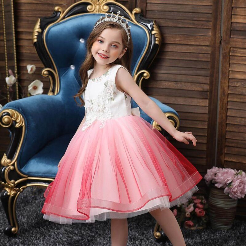 Robe de Princesse Rose pour Petite Fille
